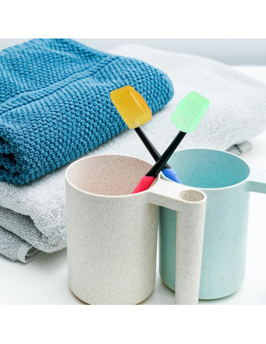 5 Fundas de Cepillo de Dientes Viaje MOZEAT LENS Colorido