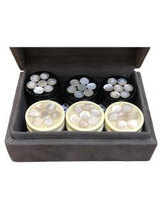 30 Fichas de Backgammon en Madreperla + 4 Dados - Taller Zayed