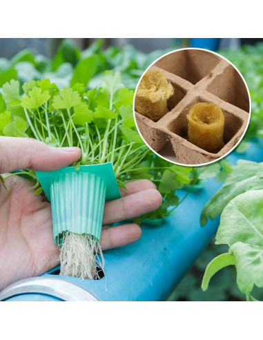 50 Tapones de Inicio de Lana de Roca YBB Redondos 2x2.54cm