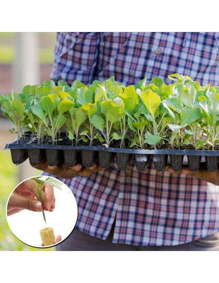 50 Tapones de Inicio de Lana de Roca YBB Redondos 2x2.54cm