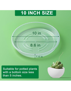 Bandejas para Plantas Hoewina - Paquete de 6 de 25.4 cm 2