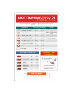 Imán de Temperatura de Carne GLOBE ROCKET 12.7x19.3 cm