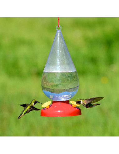 Alimentador de Colibrí Perky-Pet Dew Drop 946 ml Rojo