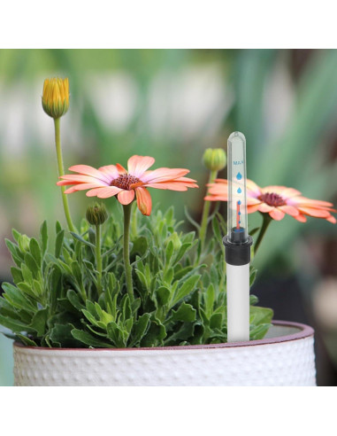 Medidor de Agua para Plantas DECHOUS 4 Pcs 22.8cm