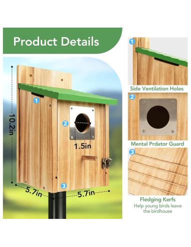 Paquete de 2 casas para pájaros de cedro con protección