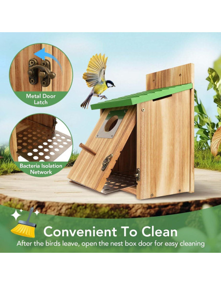 Paquete de 2 casas para pájaros de cedro con protección