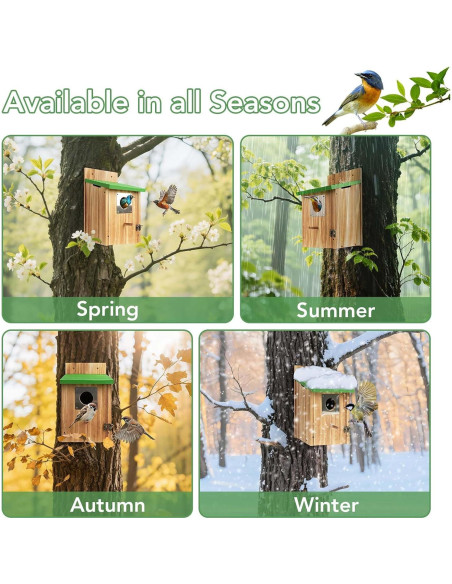 Paquete de 2 casas para pájaros de cedro con protección
