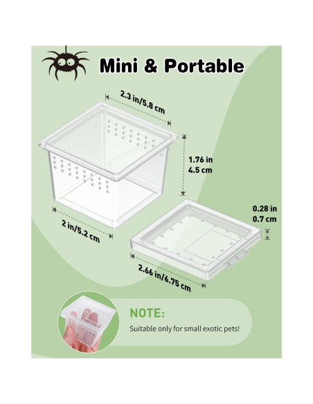 Caja de Cría Pawfly 10 Pcs para Arañas y Reptiles 5.8x5.8cm