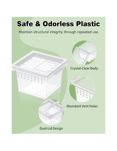 Caja de Cría Pawfly 10 Pcs para Arañas y Reptiles 5.8x5.8cm