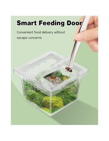 Caja de Cría Pawfly 10 Pcs para Arañas y Reptiles 5.8x5.8cm