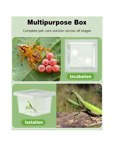 Caja de Cría Pawfly 10 Pcs para Arañas y Reptiles 5.8x5.8cm