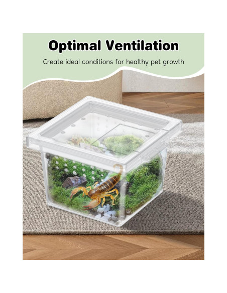 Caja de Cría Pawfly 10 Pcs para Arañas y Reptiles 5.8x5.8cm
