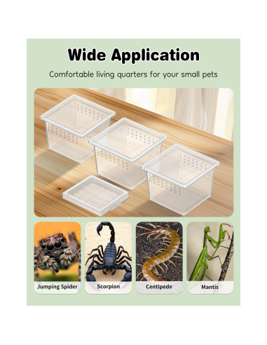 Caja de Cría Pawfly 10 Pcs para Arañas y Reptiles 5.8x5.8cm