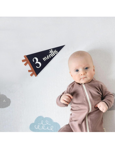 Bandera de Hitos Mensuales para Bebés Agkvw 1 a 12 Meses