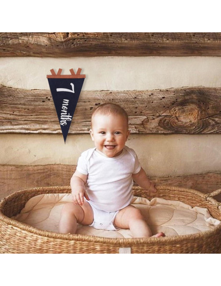 Bandera de Hitos Mensuales para Bebés Agkvw 1 a 12 Meses