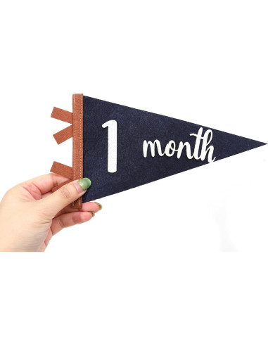 Bandera de Hitos Mensuales para Bebés Agkvw 1 a 12 Meses