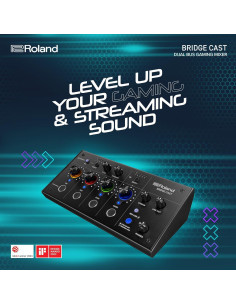 Mezclador Dual Bus Roland BRIDGE CAST para Juegos Negro | Interfaz de Audio Profesional USB-C 2