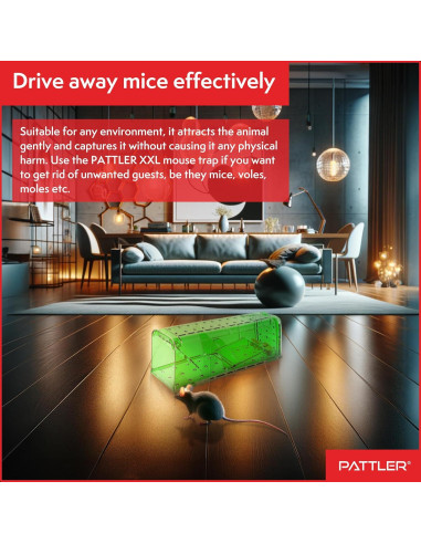 Trampa Humana para Ratones PATTLER Verde - Paquete de 2