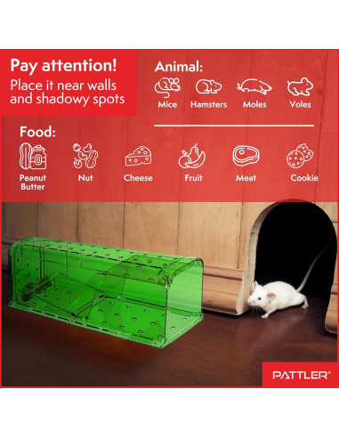 Trampa Humana para Ratones PATTLER Verde - Paquete de 2