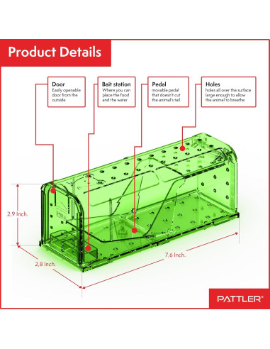 Trampa Humana para Ratones PATTLER Verde - Paquete de 2