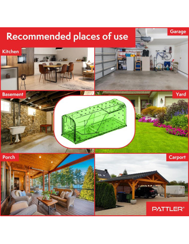 Trampa Humana para Ratones PATTLER Verde - Paquete de 2