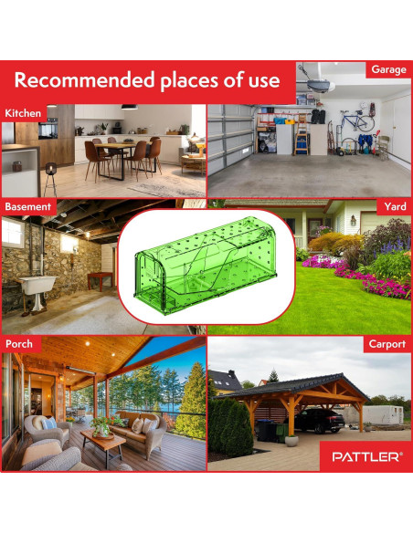 Trampa Humana para Ratones PATTLER Verde - Paquete de 2