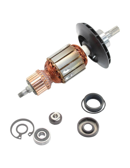 Armadura Bosch 1619P10864 para Martillo Rotativo RH540S, RH540M