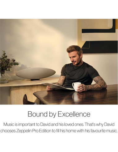 Altavoz Inalámbrico Bowers & Wilkins Zeppelin Pro Gris Espacial