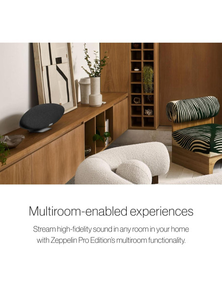 Altavoz Inalámbrico Bowers & Wilkins Zeppelin Pro Gris Espacial