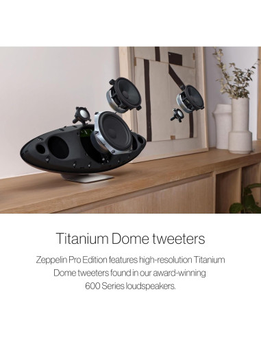 Altavoz Inalámbrico Bowers & Wilkins Zeppelin Pro Gris Espacial