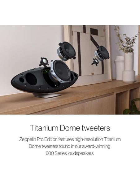 Altavoz Inalámbrico Bowers & Wilkins Zeppelin Pro Gris Espacial