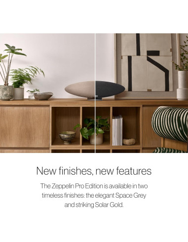 Altavoz Inalámbrico Bowers & Wilkins Zeppelin Pro Gris Espacial