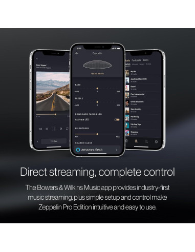 Altavoz Inalámbrico Bowers & Wilkins Zeppelin Pro Gris Espacial