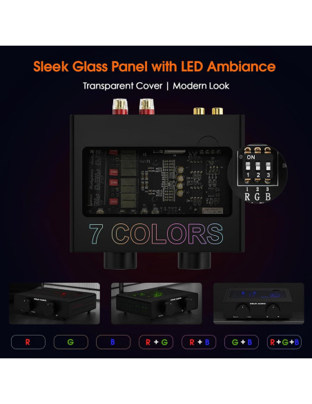 Amplificador Estéreo Douk Audio A5 300W x2 Hi-Fi Clase D