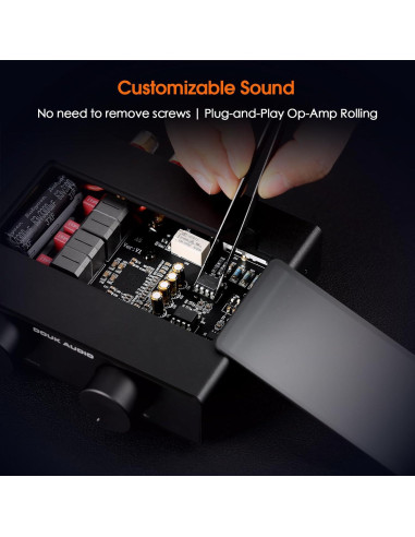 Amplificador Estéreo Douk Audio A5 300W x2 Hi-Fi Clase D