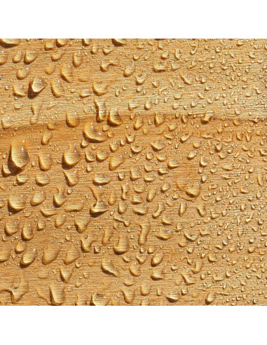 Crema Impermeabilizante Roxil 1 Cuartillo - Sellador Transparente 10 Años