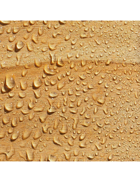 Crema Impermeabilizante Roxil 1 Cuartillo - Sellador Transparente 10 Años