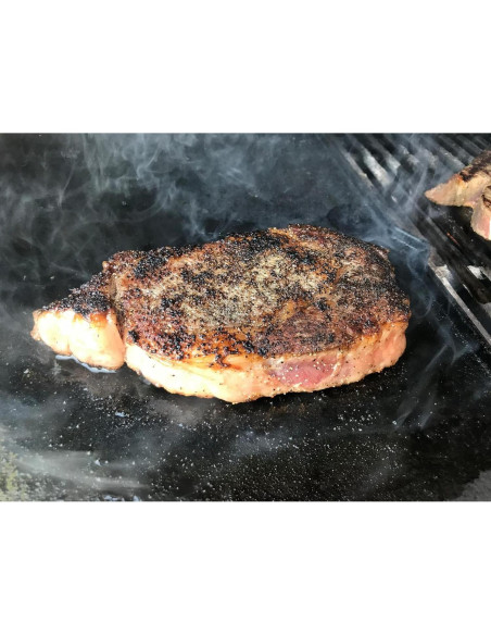 Placa de Hierro Fundido Reversible PETKAO 7404 para Parrilla Weber