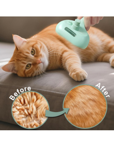 Cepillo de Vapor para Mascotas HESUSLA Verde 2 en 1 Deshedding