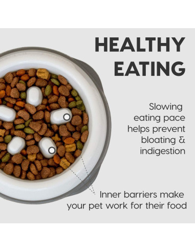 Tazón Antiahogo IRIS USA 2 Tazas Beige/Negro para Perros