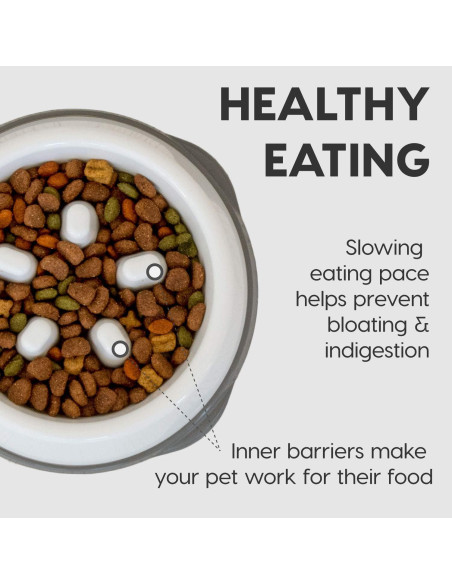 Tazón Antiahogo IRIS USA 2 Tazas Beige/Negro para Perros