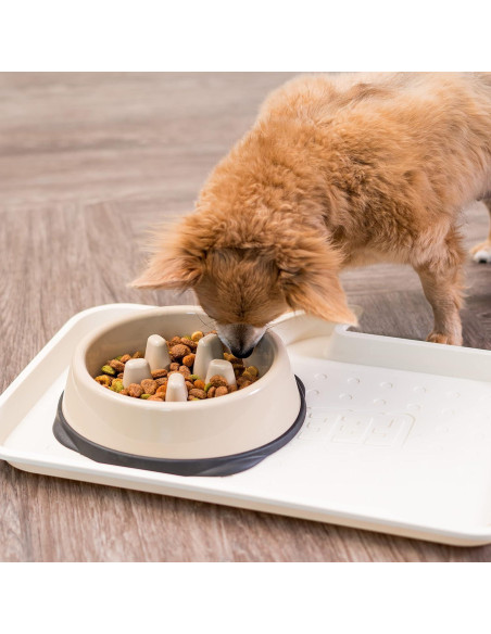 Tazón Antiahogo IRIS USA 2 Tazas Beige/Negro para Perros