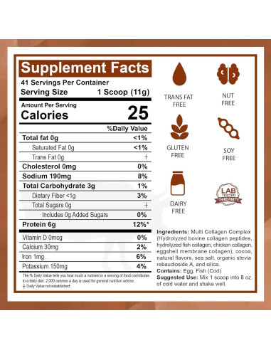 Zammex Polvo de Proteína de Colágeno Múltiple 41 Porciones Chocolate