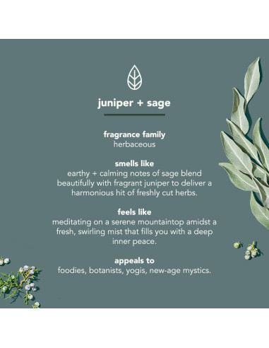 Desodorante para Hombres Method Sin Aluminio 75g x6 - Enebro y Salvia