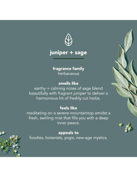 Desodorante para Hombres Method Sin Aluminio 75g x6 - Enebro y Salvia