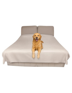 Funda Protectora Impermeable Reversible SILLY LEGACY Individual