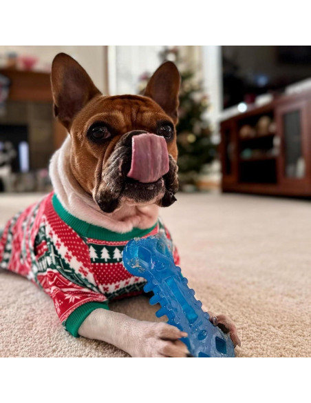 Juguete Flexi Chew Nylabone para Perros Mediano Sabor Pollo