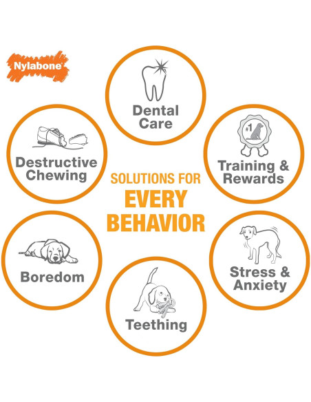 Juguete Flexi Chew Nylabone para Perros Mediano Sabor Pollo