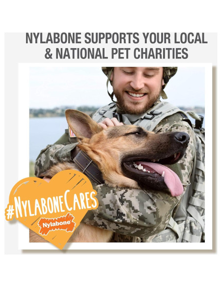 Juguete Flexi Chew Nylabone para Perros Mediano Sabor Pollo