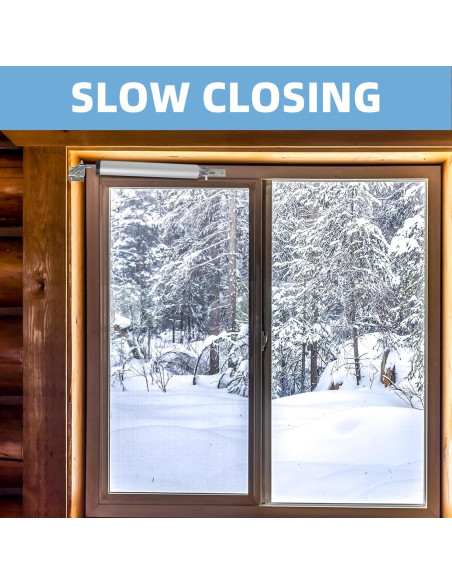 Cierrapuertas Neumático Dluno Plateado Ajustable 25-50 KG